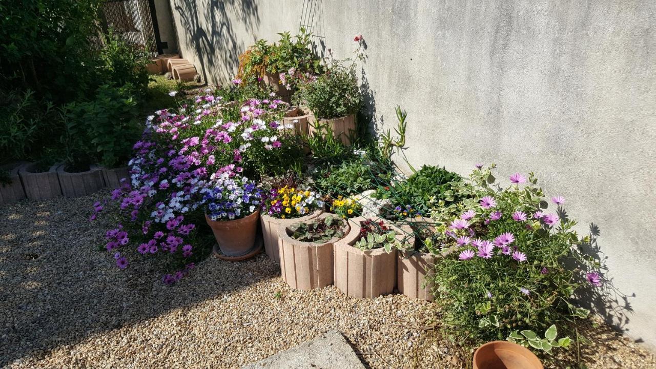 Appartement Avec Terrasse Quartier Montplaisir Arles Eksteriør bilde